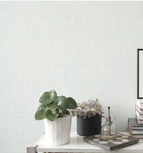 Book shelf with small leaf in mint wallpaper